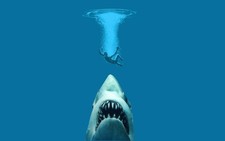 155660 Jaws Movie Decor Wall Print Poster CA