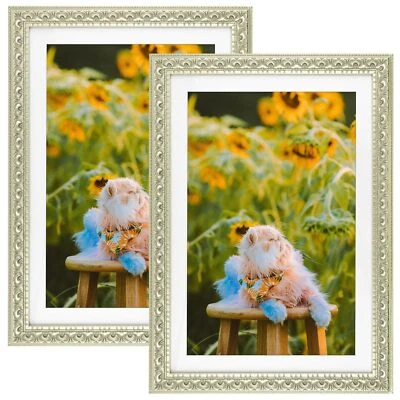 Marco de fotos ornamentado beige plateado 13x19 con alfombrilla para vidrio real 11x17 paquete de 2 Foto 1 de 4