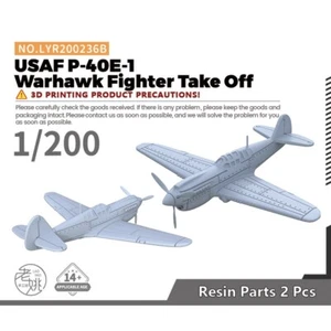 LYR200236B 1/200 Military Model Kit USAF P-40E-1 Warhawk Fighter Take Off - Bild 1 von 5
