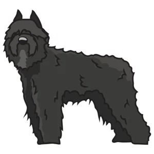 Bouviers Des Flandres Hund Aufkleber Hundeliebhaber Dekor Vinyl Sticker - Bild 1 von 2