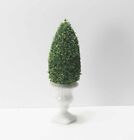 Dollhouse Miniature Artisan Topiary in a White Ceramic Pedestal Pot