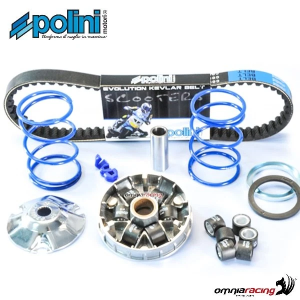 Kit variatore Polini Hi-speed per Piaggio Zip 50 Fast Rider 2T raffred. ad aria - Immagine 1 di 4