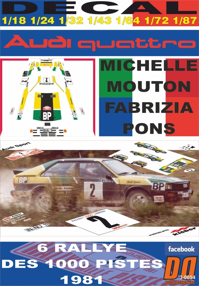 DECAL AUDI QUATTRO M.MOUTON R DES 1000 PISTES 1981 DnF (06) - Image 1 of 1