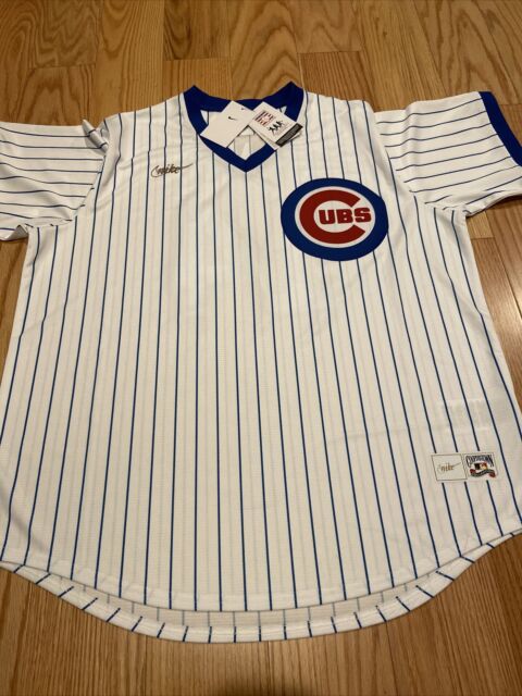 1969 Ernie Banks Game Worn Chicago Cubs Jersey, MEARS A10--Photo, Lot  #80079