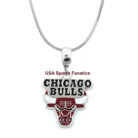 NBA - Chicago Bulls Team Logo Pendant Necklace On A 925 Snake Chain Cover