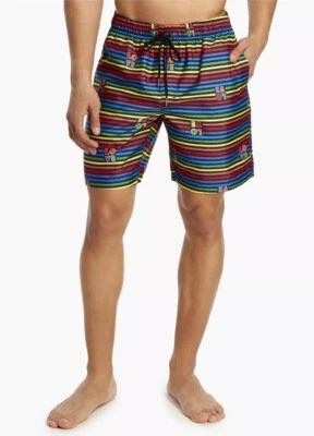 Corto de natación 2(x)ist Pride GAY Rainbow Stripe Catalina mediano para hombre nuevo con etiquetas ($75 USD) Foto 1 de 4