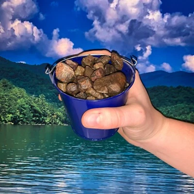 Bucket Full of Natural Ruby Rough + FREE faceted gemstone - Pick Bucket Color - Image 1 of 3