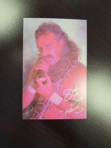 Vintage 1988 WWF Superstars Series Jake The Snake Roberts Postcard Rare FastShip - Picture 1 of 8