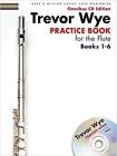 Trevor Wye Practice Book For The Flute - 1-6 +CD - 9781783056859