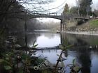 Photo 12X8 Footbridge And Japanese Knotweed Gwaelod Y Garth The Taff At Gwae C2011