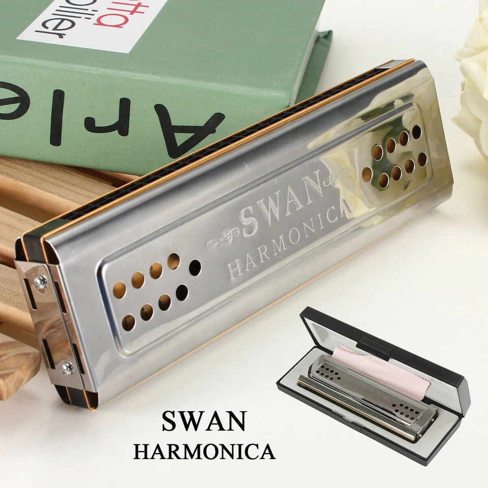 Professional Silver 24 Holes Double Sided C/G Key 2 Sides Mouth Organ Harmonica - Image 1 of 4