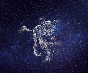 Hotfix Strass Bügelmotiv Bügelbild Katze 241002 Strass Bügelapplikation Strass - Bild 1 von 6