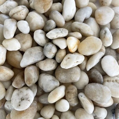 FLUSSKIESEL 20-60mm 1kg WEISS weiß Kieselsteine Dekosteine Natursteine - Bild 1 von 2