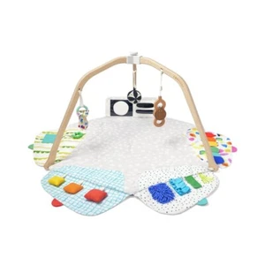Award-Winning Montessori Activity Gym with Organic Cotton Teething Toys - 0+ - Picture 1 of 16
