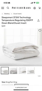 Pottery Barn Sleepsmart 37.5 King Size Duvet Insert 550 Down Blend - Picture 1 of 1