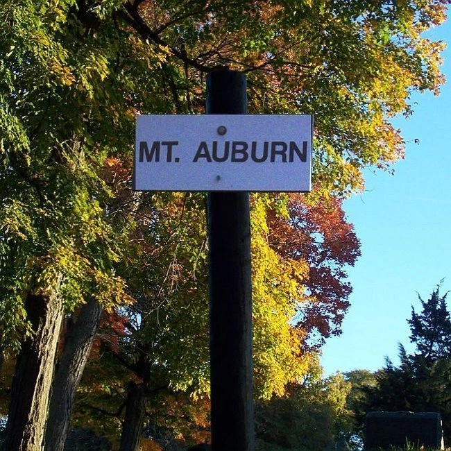 CEMETARY / 1 To 3 BURIAL PLOTS SPRINGDALE CEMETARY PEORIA ILLINOIS - Image 1 of 1