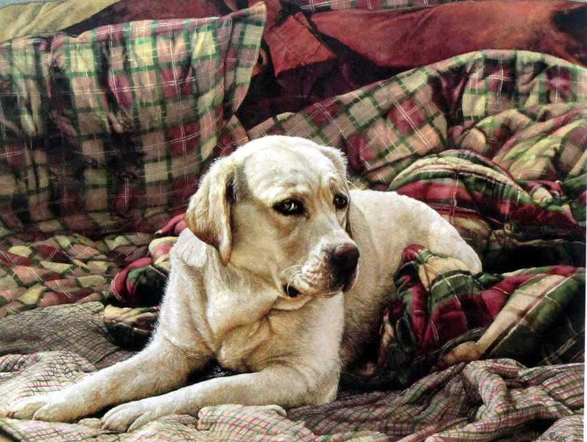 Gracious Living by Sueellen Ross  Image Size 16" x 12.5'' - Image 1 of 1