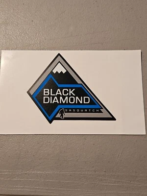 2021-2024 Ford Bronco черный бриллиант SASQUATCH OEM значок эмблема R/L #M2DBS000A72L - Изображение 1 из 4