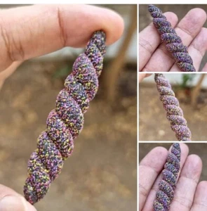Spiritual  عرق سواحلي حجري مرصع حلزونيirq Al sawahili Max color stone Amulets - Picture 1 of 5