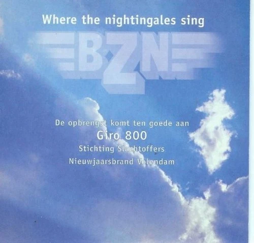 BZN [Maxi-CD] Where the nightingales sing/TV medley (2001) - Bild 1 von 1