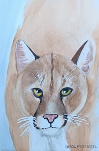 Cougar puma mountain lion wildlife original watercolor painting Carol Proebstel - Picture 1 of 1