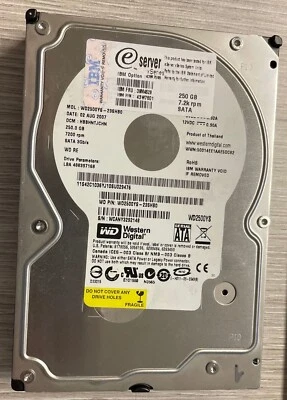 Hard Disk Western Digital IBM 250GB SATA 3.5" WD2500YS usato, ottime condizioni - Immagine 1 di 4