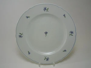 SELTMANN WEIDEN Marie Luise KORNBLUME Speiseteller Teller 25 cm *** - Bild 1 von 1