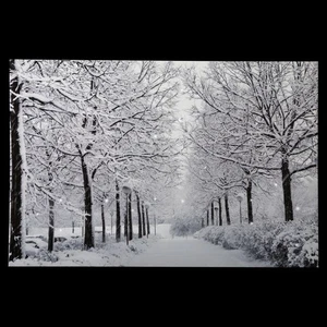Arte en lienzo de Navidad Northlight fibra óptica nevada invierno carril 11,75" x 15,75" - Imagen 1 de 4
