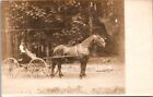 RPPC Pferd gezogen Buggy Kutsche Mann Mütze Peitsche Velox c1910 Foto Postkarte GP2