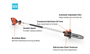 ECHO Battery Powered Fixed Shaft Power Pruner: DPPF-2100C1 (USED) - Picture 1 of 1