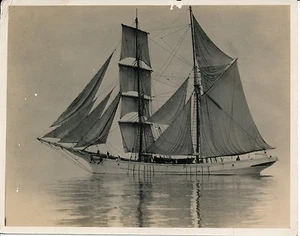BATEAUX DU MONDE c. 1930 - Grand Voilier - PP 252 - Imagen 1 de 1