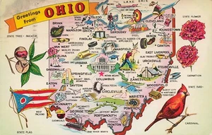 POSTCARD Greetings from Ohio ~ Buckeye State, Carnation, Cardinal - Picture 1 of 2