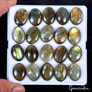 268.30 Ct/20 Pcs Natural Labradorite 20x15mm Oval Cabochon Loose Untreated Gems - Picture 1 of 7