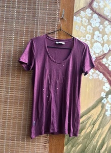 Icebreaker Tour Du Mont Blanc Women’s Merino Wool Embroidered T-shirt Sz S - Picture 1 of 7