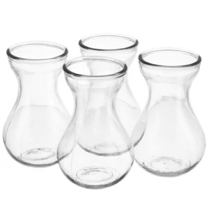 4 Pcs Glass Vase Flower Vases for Centerpieces Hyacinths Small Office - Picture 1 of 12