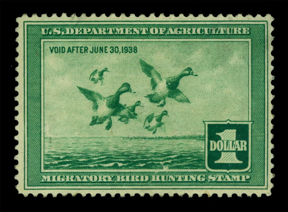 US 1937  Scaup DUCKS Taking to Flight  $1.00  green  Scott # RW4  mint MH - Image 1 of 2