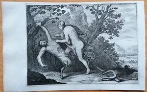 Apollo skins Marsyas Original Engraving Ovid Metamorphoses - 1703 - Picture 1 of 1