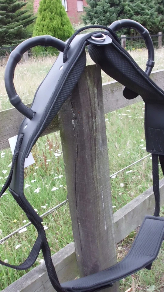 Voltigiergurt , Synthetik m. Beinschlaufen +festen Griffen, Mini-Shetty- X-Full - Bild 1 von 4