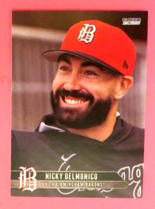 2025 Choice, Birmingham Barons, Hitting Coach - NICKY DELMONICO - Picture 1 of 1