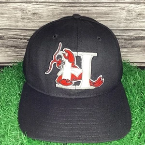 Vintage Hickory Crawdads Snapback Hat Cap Black Adjustable New Era MiLB 90s - Picture 1 of 6