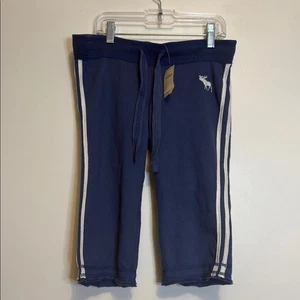 NWT VINTAGE Abercrombie & Fitch Navy Shorts - Picture 1 of 9