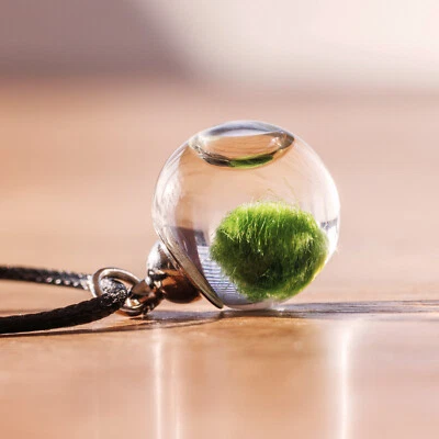Collana con mini MARIMO Alga Palla Viva Gioiello Artigianale Pianta Giapponese - Image 1 of 4