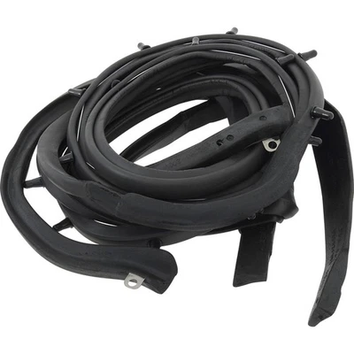 Ford Fairlane/Mercury Meteor 1962-64; marco de puerta sellos resistentes a la intemperie; 2 puertas Foto 1 de 3