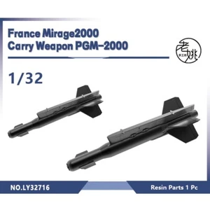 LY32716 1/32 Model Upgrade Parts France Mirage2000 Carry Weapon PGM-2000 - Picture 1 of 2