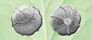 LATVIA  - 5 € Euro SILVER COLLECTOR COIN 2024 - Cabbage - Picture 1 of 3