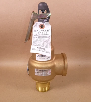 Kunkle Bronze Safety Relief Valve 1-1/2" MNPT Inlet 2" FNPT Outlet 6010HGE01-AM - Image 1 of 4