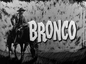 BRONCO THE COMPLETE TV SERIES Digital Media Seasons 1 2 3 4 - Picture 1 of 4