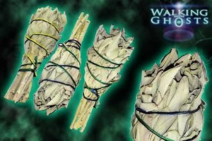3x Small White Sage Bundle Wand Sticks Smudging Cleansing Ritual Smudge Ghost UK - Picture 1 of 2