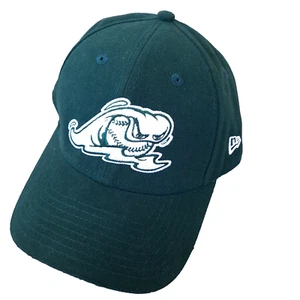 New Era Minor League West Michigan Whitecaps Baseball Mütze Kappe Erwachsene Klettverschluss - Bild 1 von 9