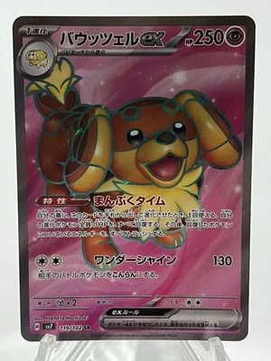 Dachsbun ex 119/102 Sv7: Stellar Miracle Holo (Japanese) - Image 1 of 2